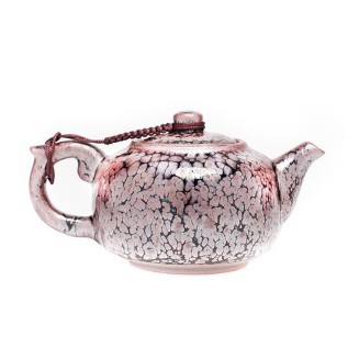 Succulent Teapot
