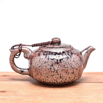 Succulent Teapot